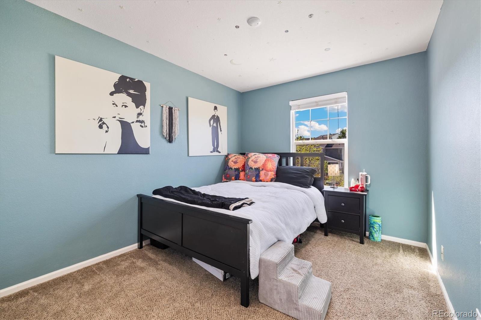 MLS Image #10 for 5786  raleigh circle ,castle rock, Colorado