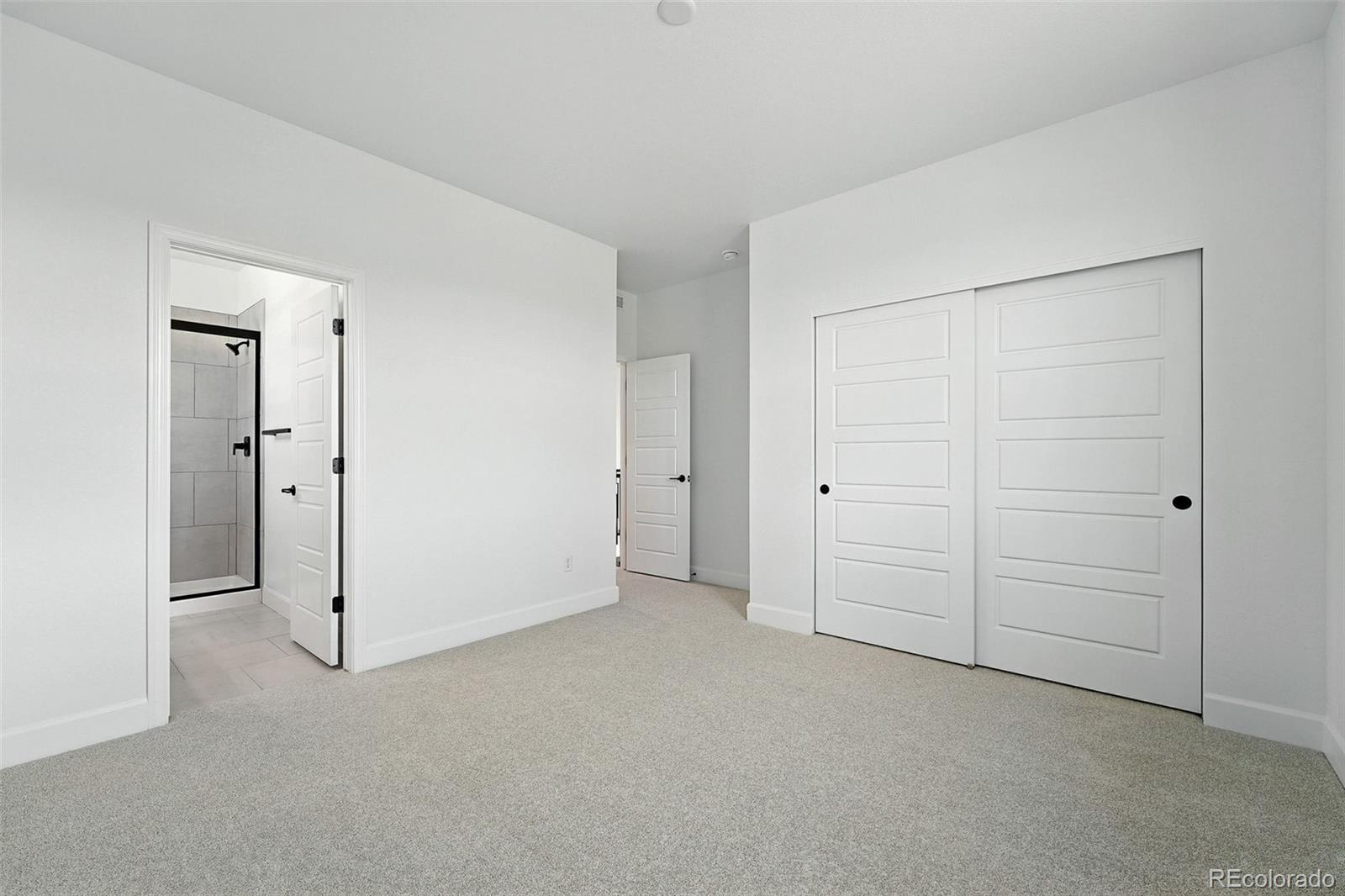 MLS Image #18 for 3447  backdrop court,castle rock, Colorado