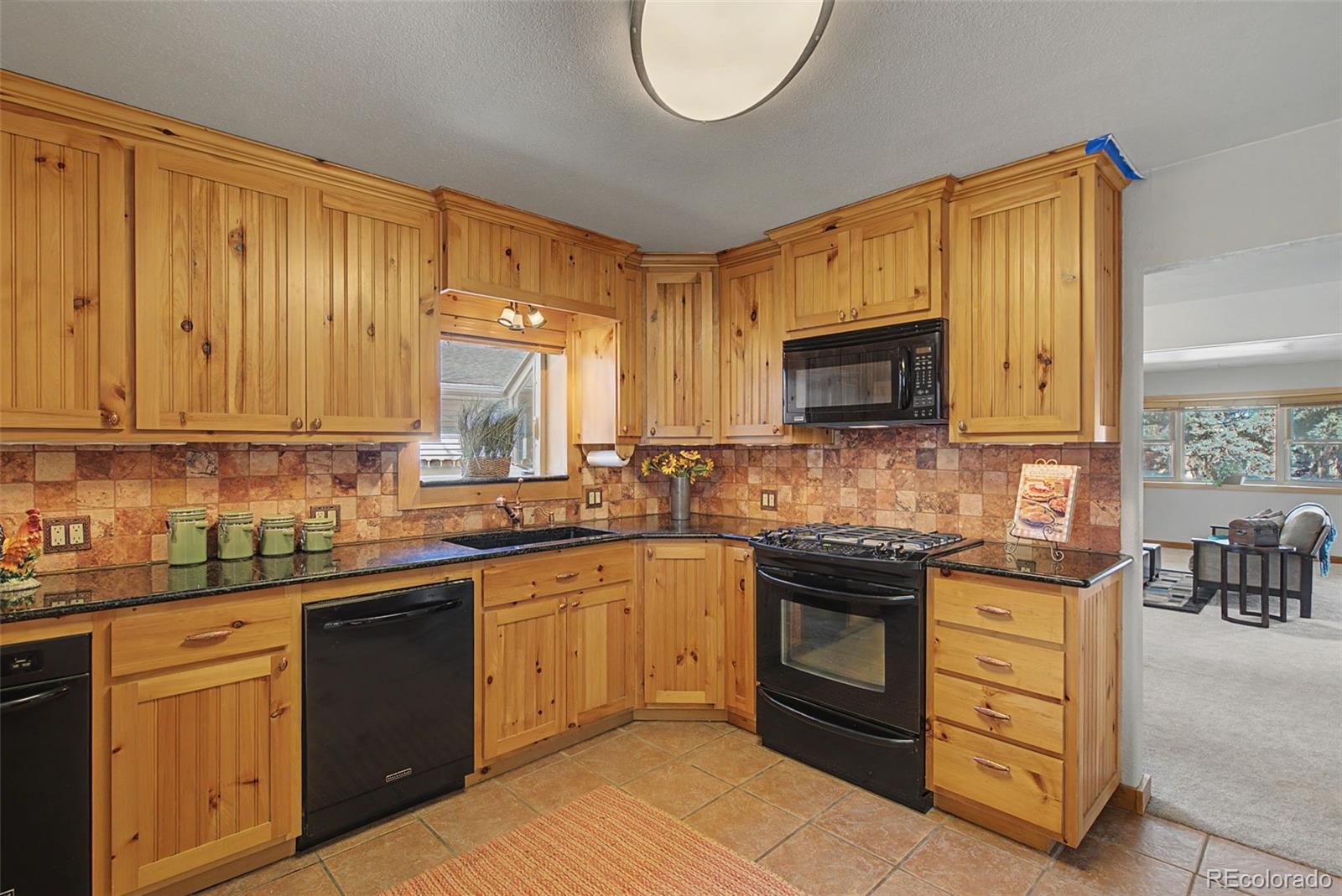 MLS Image #19 for 711  hoorne avenue,colorado springs, Colorado