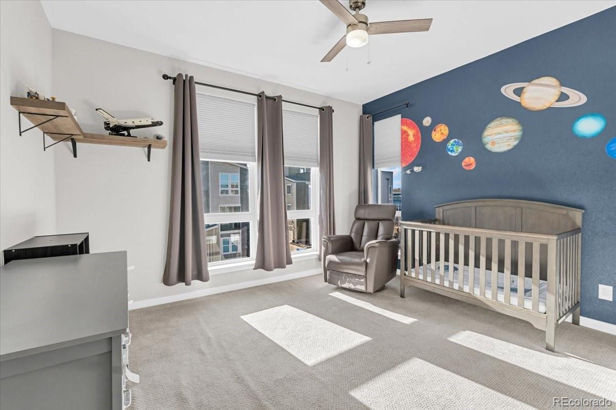 MLS Image #23 for 3701  penang drive,castle rock, Colorado