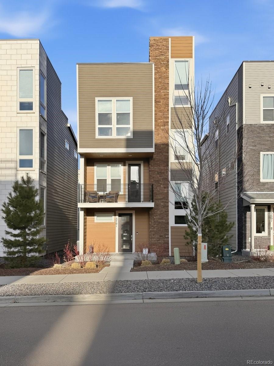 MLS Image #3 for 3701  penang drive,castle rock, Colorado