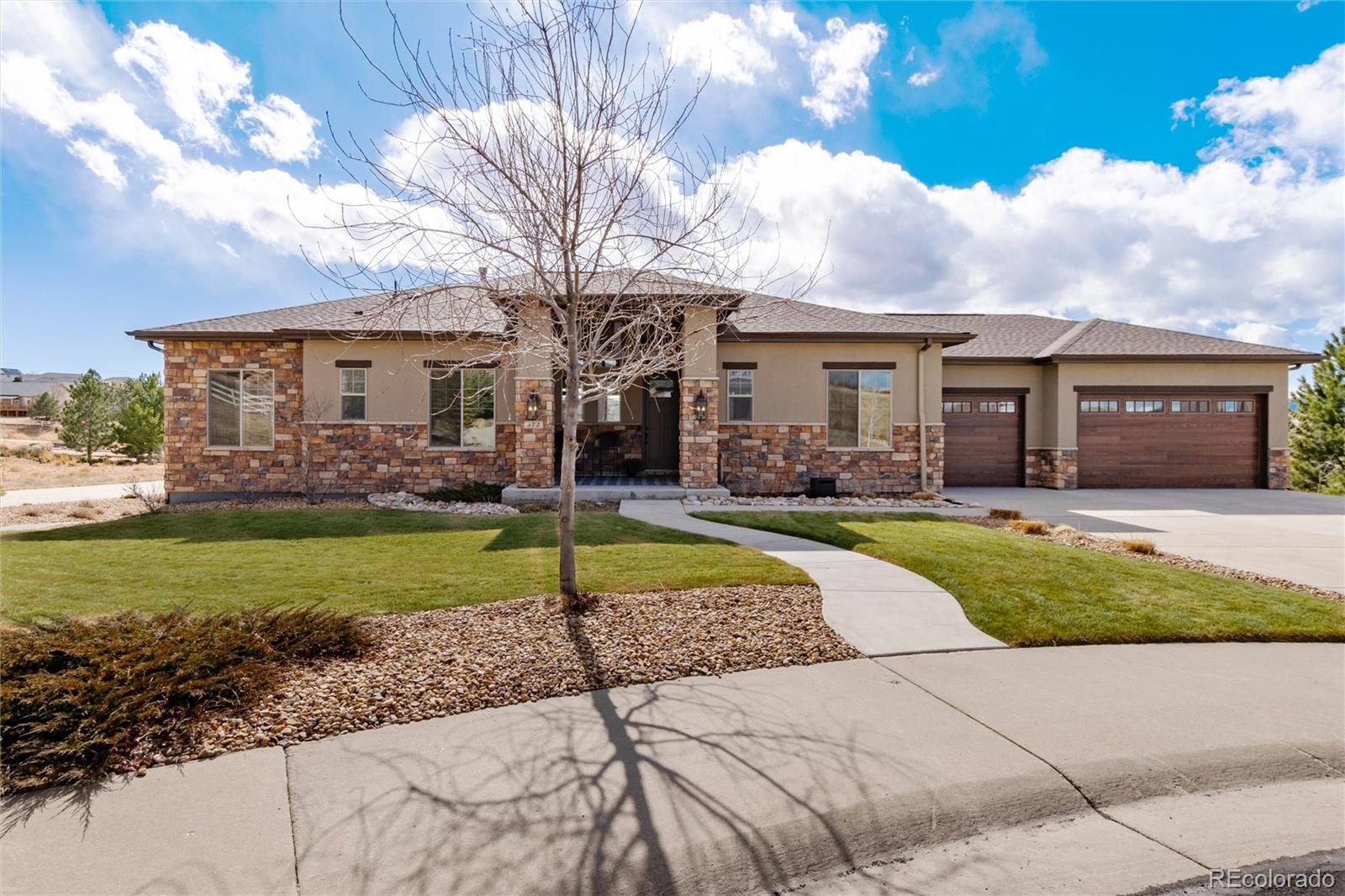 MLS Image #1 for 372  castlemaine court,castle rock, Colorado
