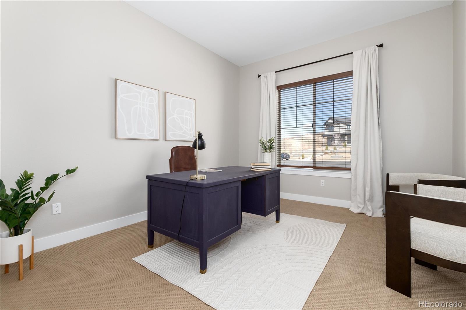 MLS Image #20 for 372  castlemaine court,castle rock, Colorado