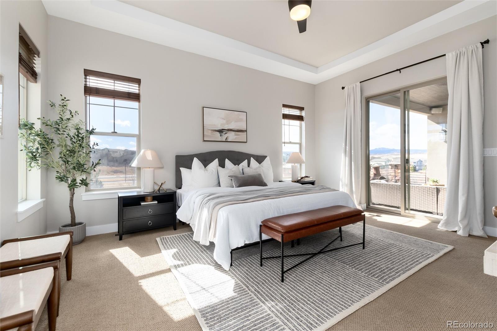MLS Image #23 for 372  castlemaine court,castle rock, Colorado