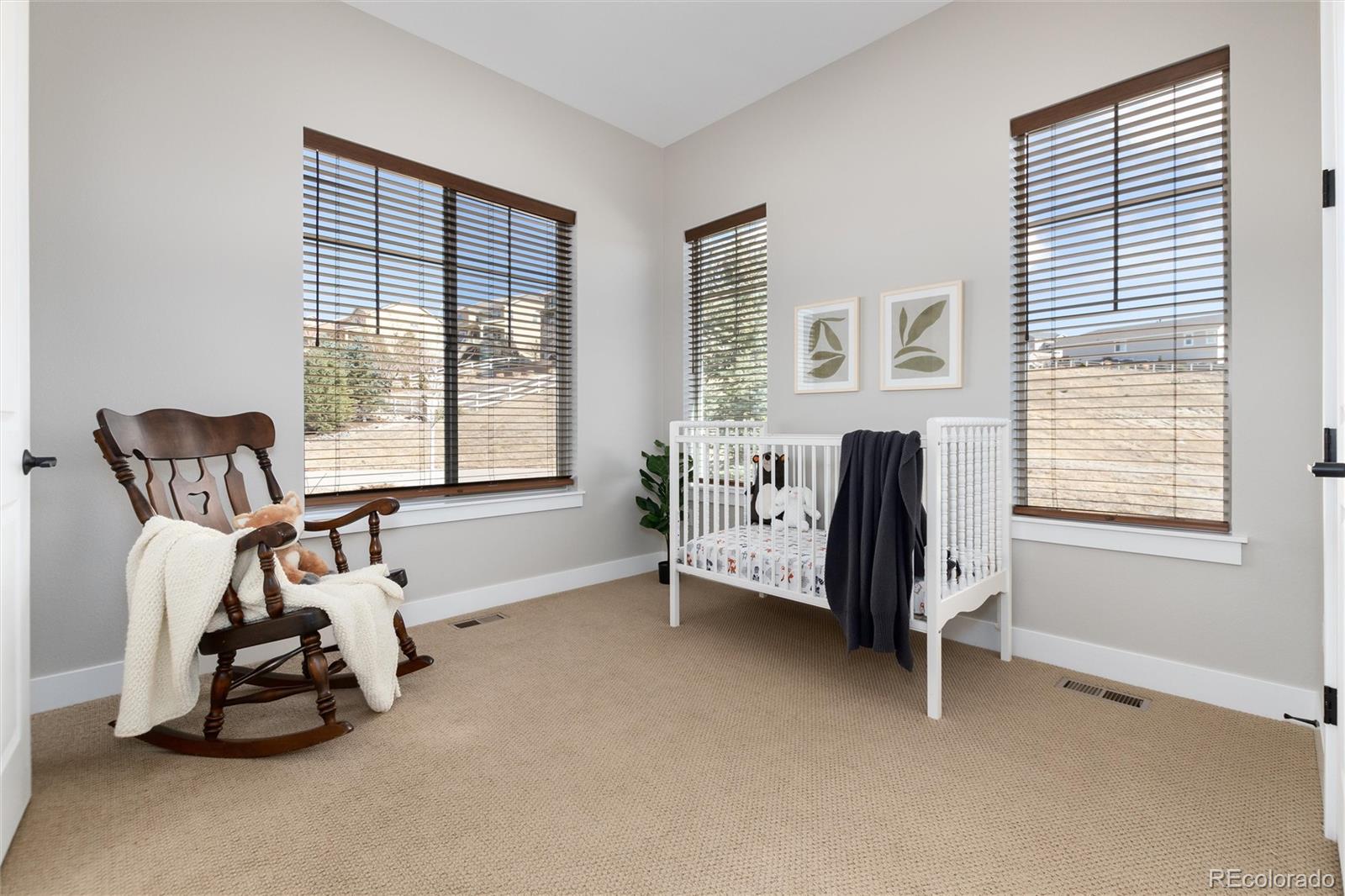 MLS Image #29 for 372  castlemaine court,castle rock, Colorado