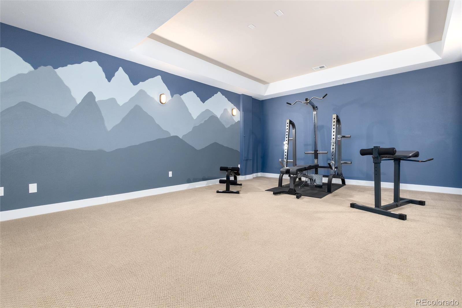 MLS Image #40 for 372  castlemaine court,castle rock, Colorado