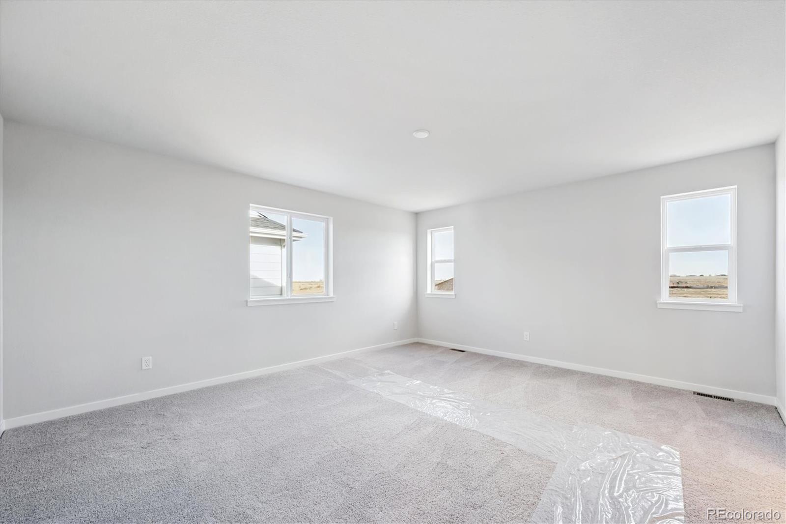 MLS Image #19 for 4550  blue grama drive,dacono, Colorado