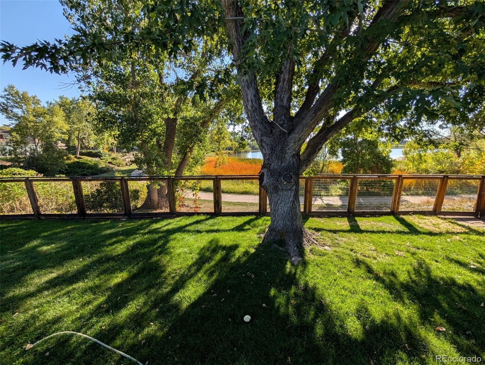 MLS Image #45 for 1646 s kline court,lakewood, Colorado