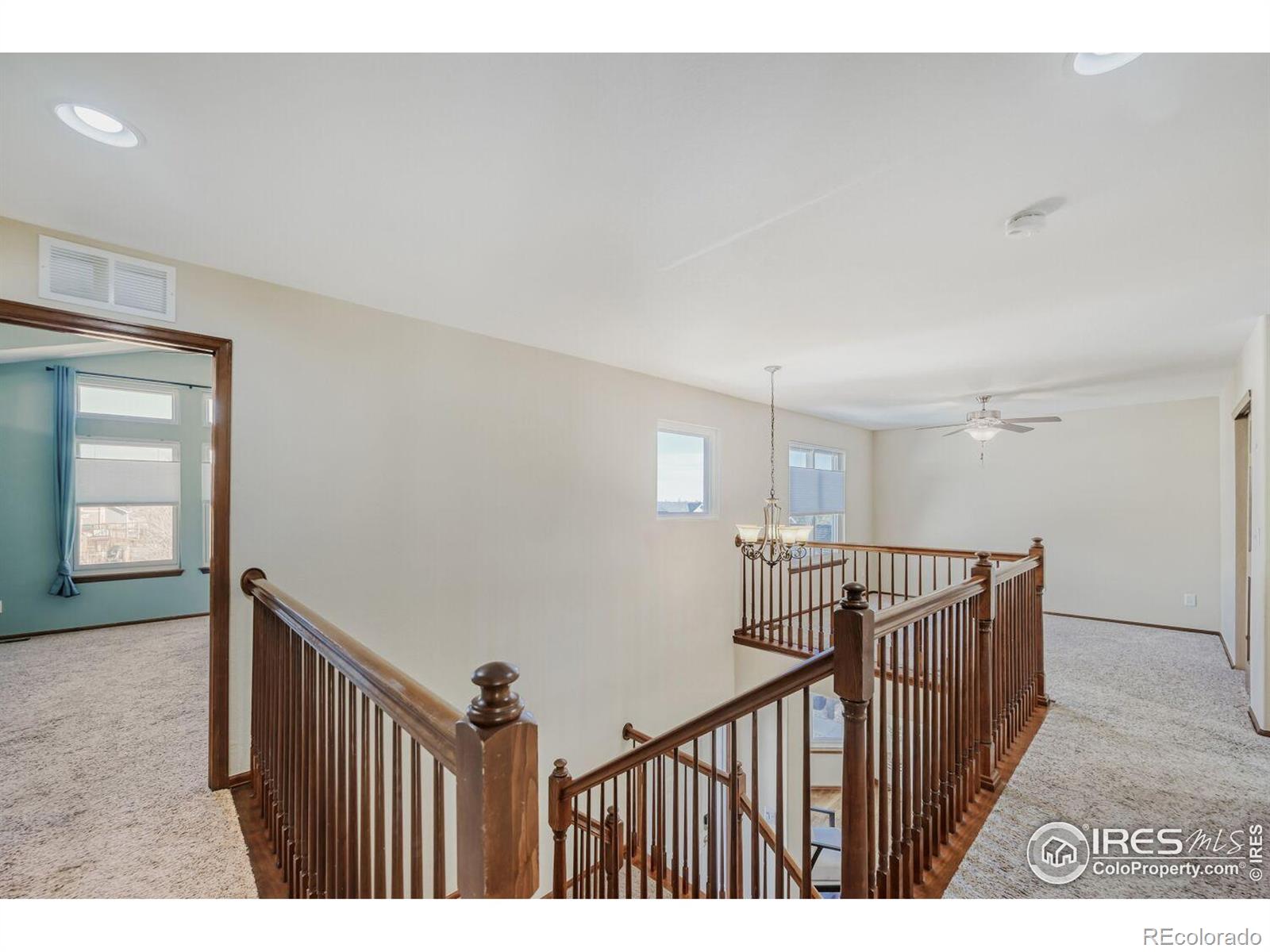 MLS Image #15 for 5729  blue mountain circle,longmont, Colorado