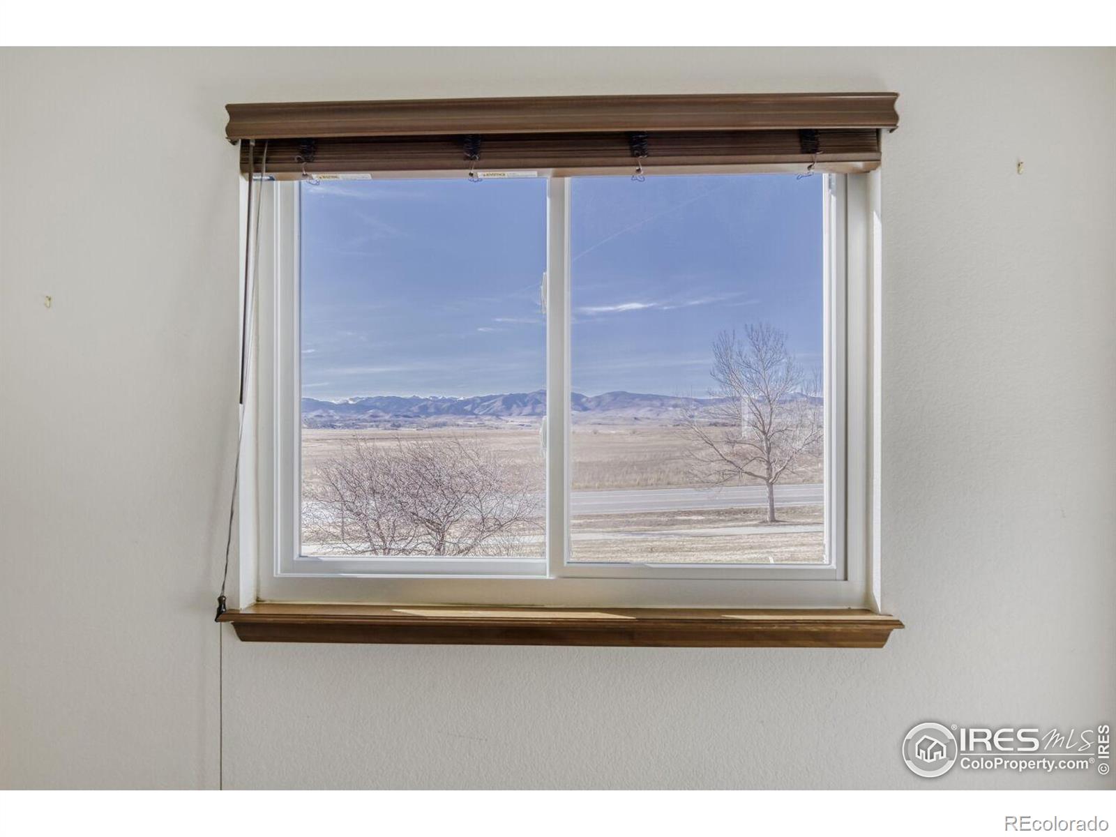 MLS Image #27 for 5729  blue mountain circle,longmont, Colorado