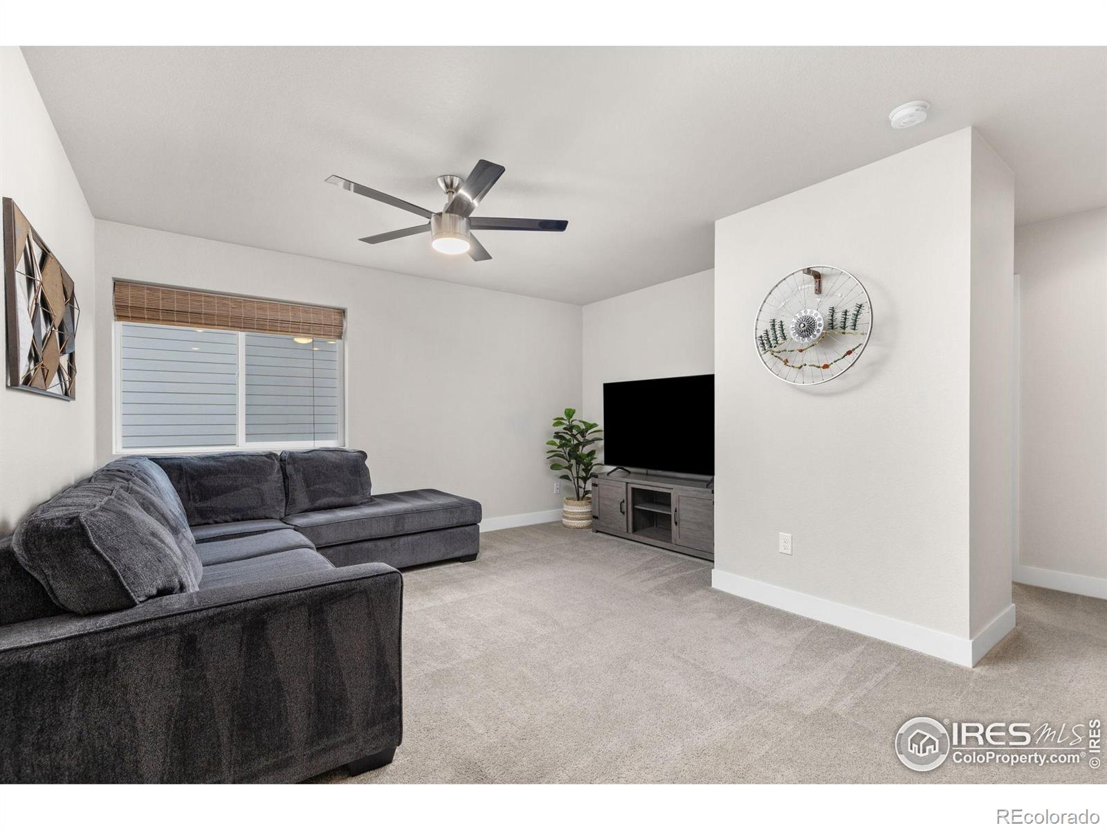 MLS Image #18 for 2121  mackinac street,fort collins, Colorado