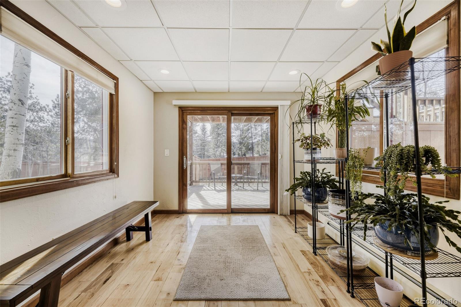 MLS Image #20 for 5000  elizabeth lane,evergreen, Colorado