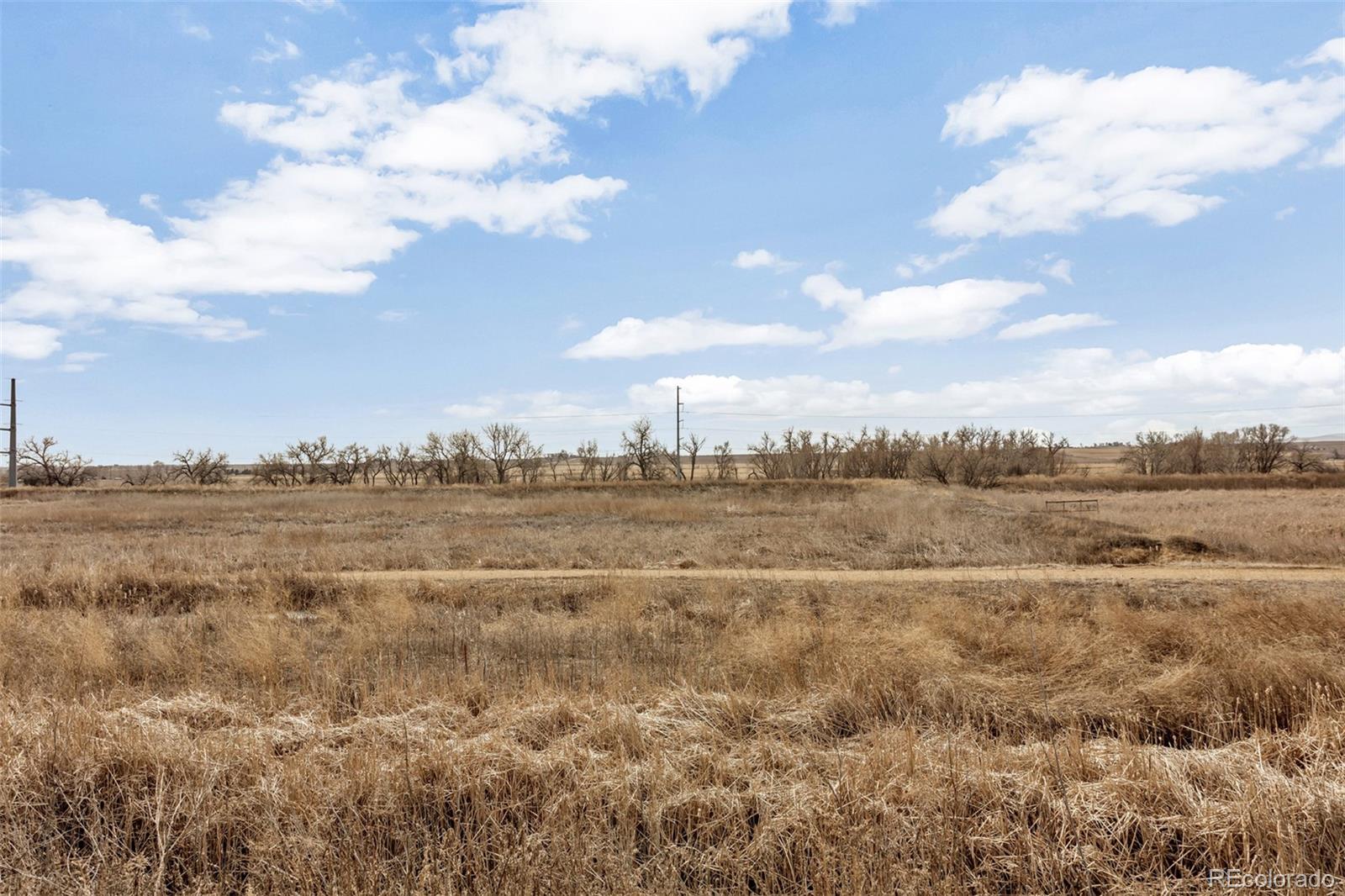 MLS Image #22 for 1601  great western drive,longmont, Colorado