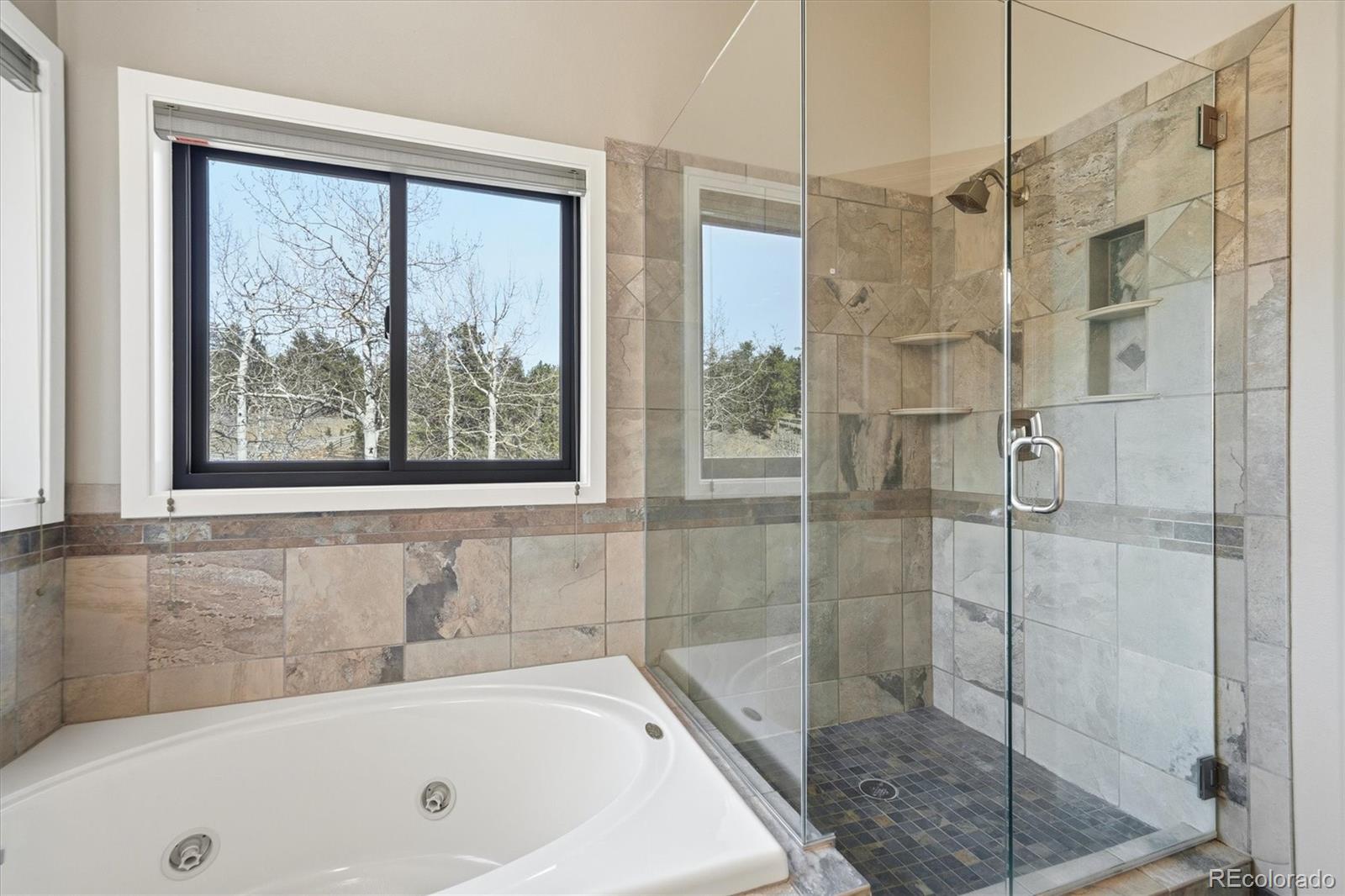 MLS Image #22 for 2565  nova road,pine, Colorado