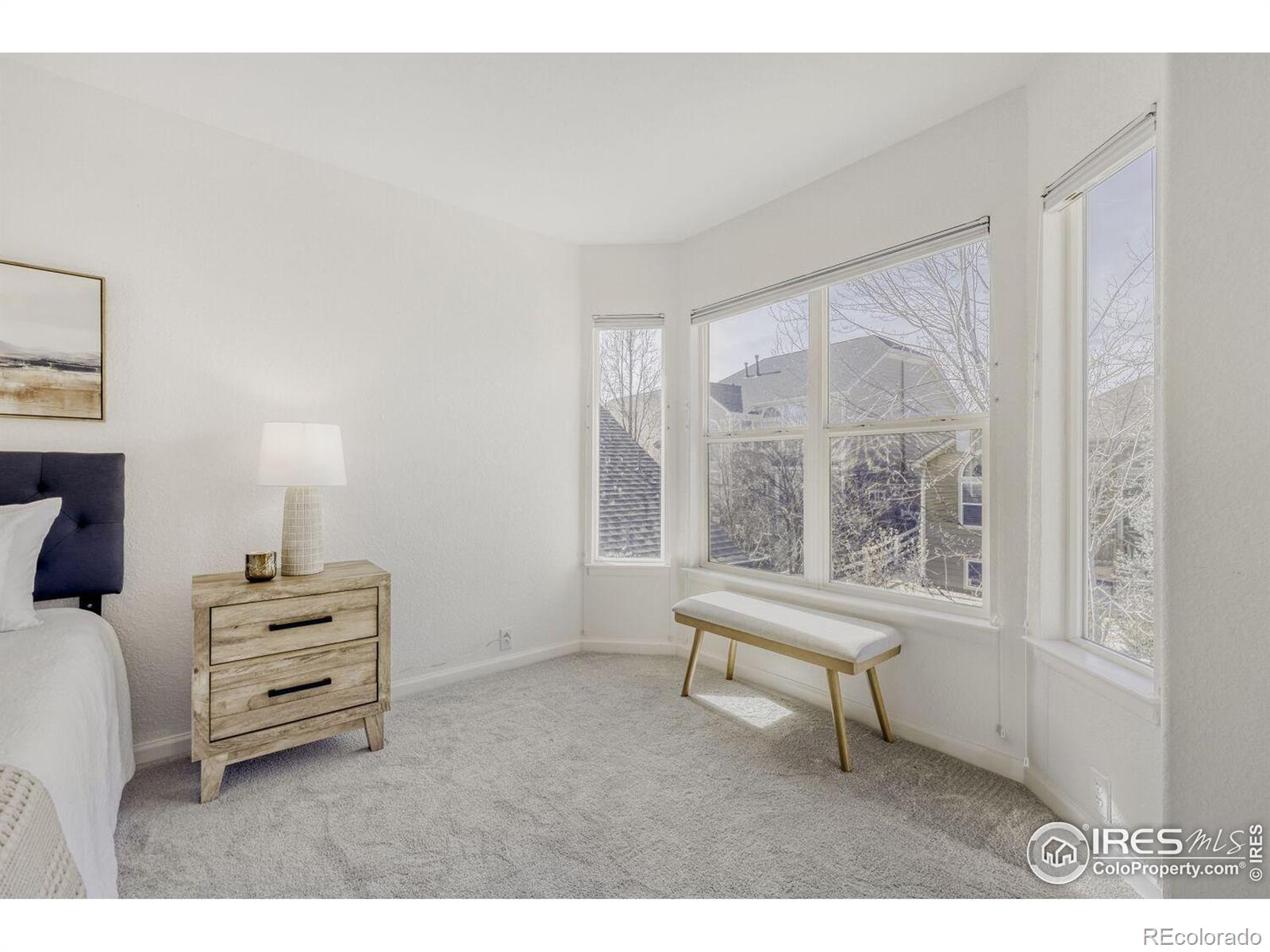 MLS Image #22 for 1615  sicily drive,longmont, Colorado