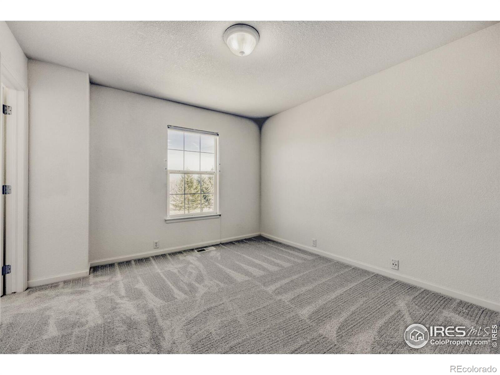 MLS Image #26 for 1615  sicily drive,longmont, Colorado