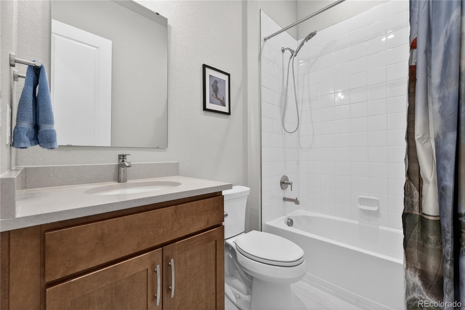 MLS Image #22 for 289  leafy aster lane,castle rock, Colorado
