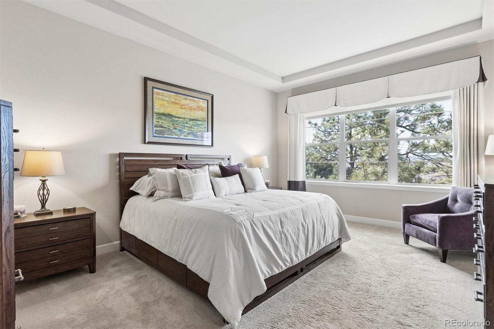 MLS Image #19 for 438  galaxy drive,castle rock, Colorado