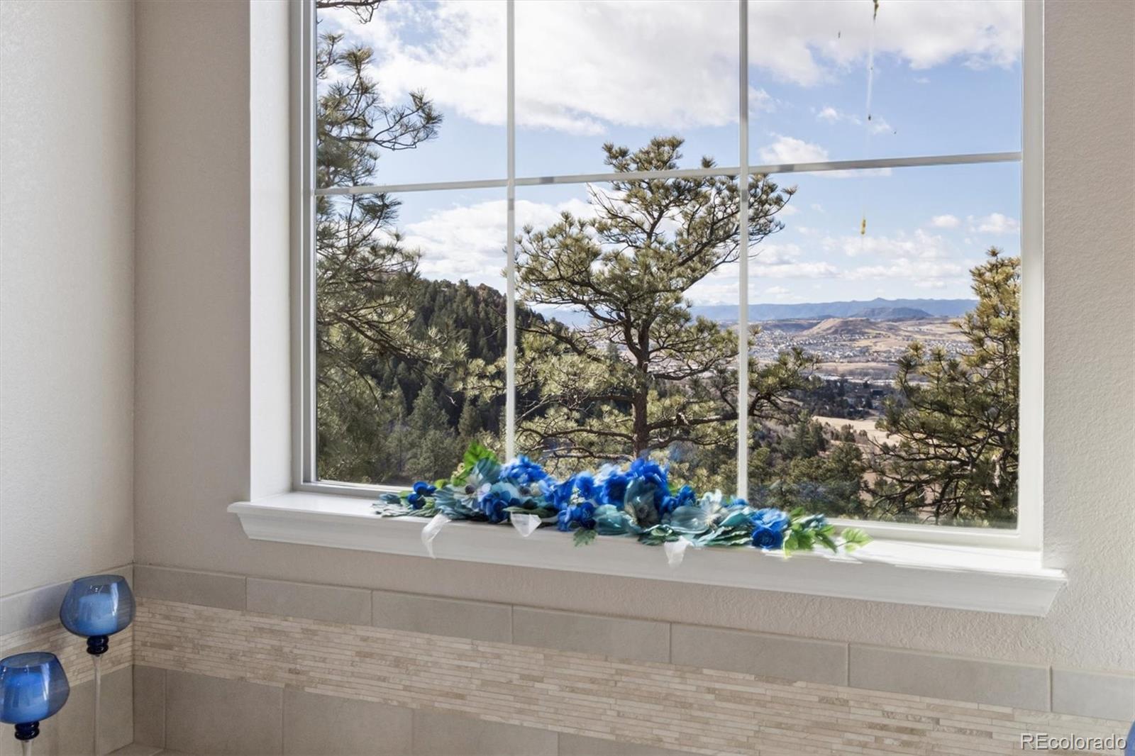 MLS Image #22 for 438  galaxy drive,castle rock, Colorado