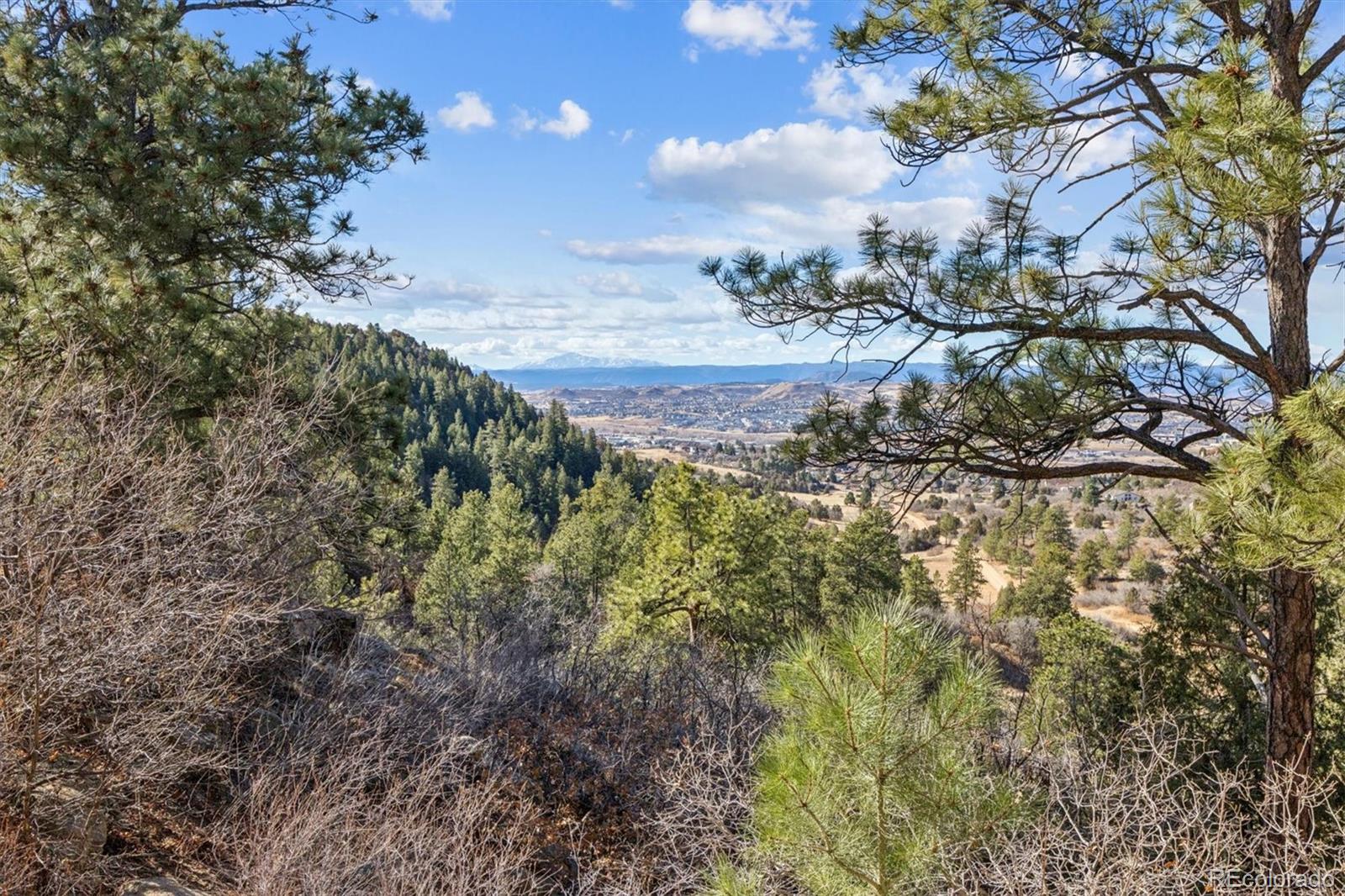 MLS Image #5 for 438  galaxy drive,castle rock, Colorado