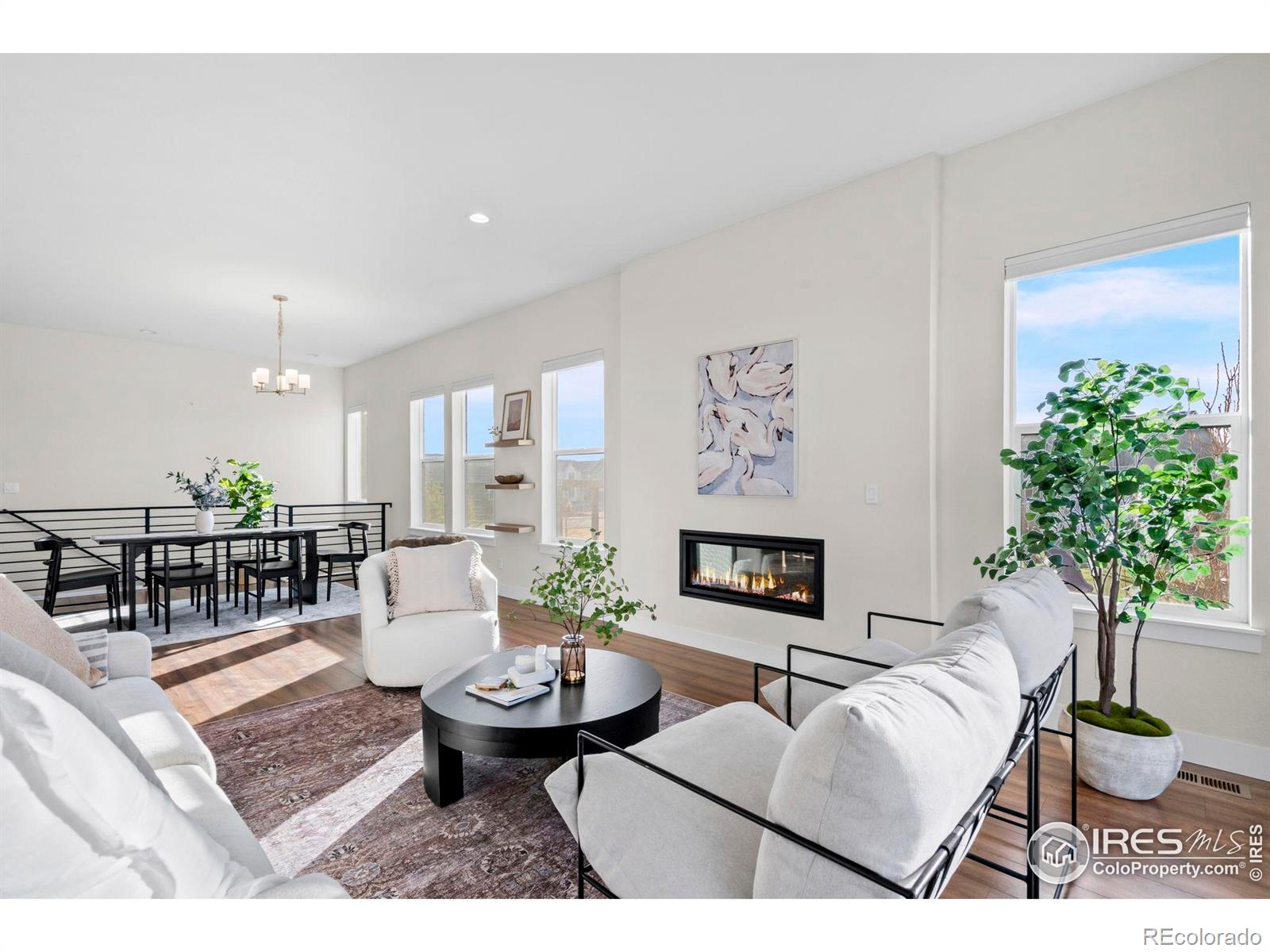 MLS Image #6 for 1876  blossom grove drive,windsor, Colorado