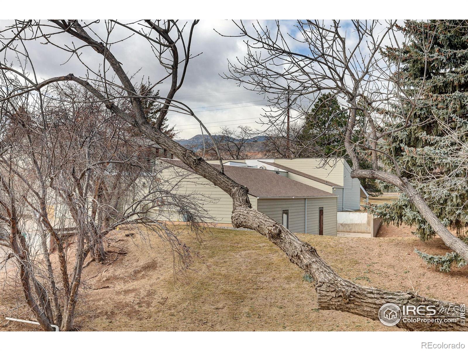 MLS Image #30 for 3024  ross drive,fort collins, Colorado