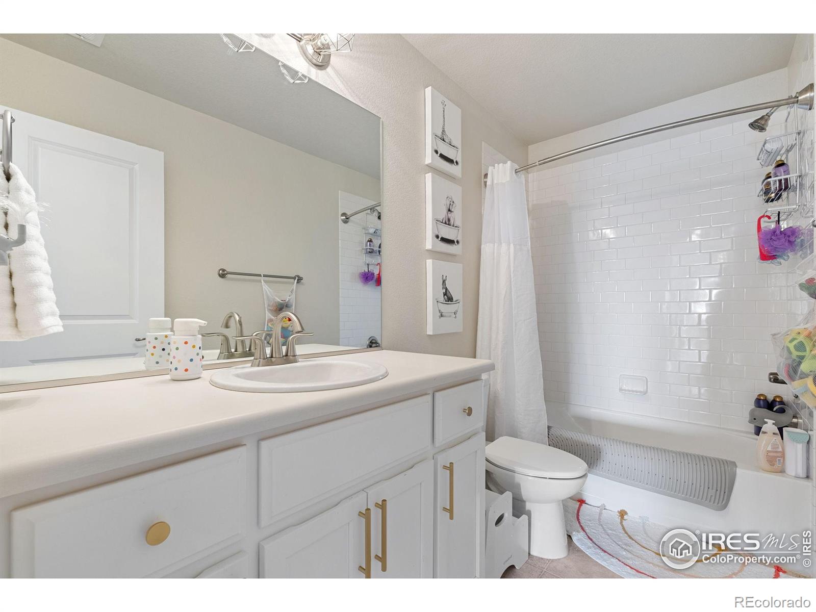 MLS Image #27 for 430  marquiss court,dacono, Colorado