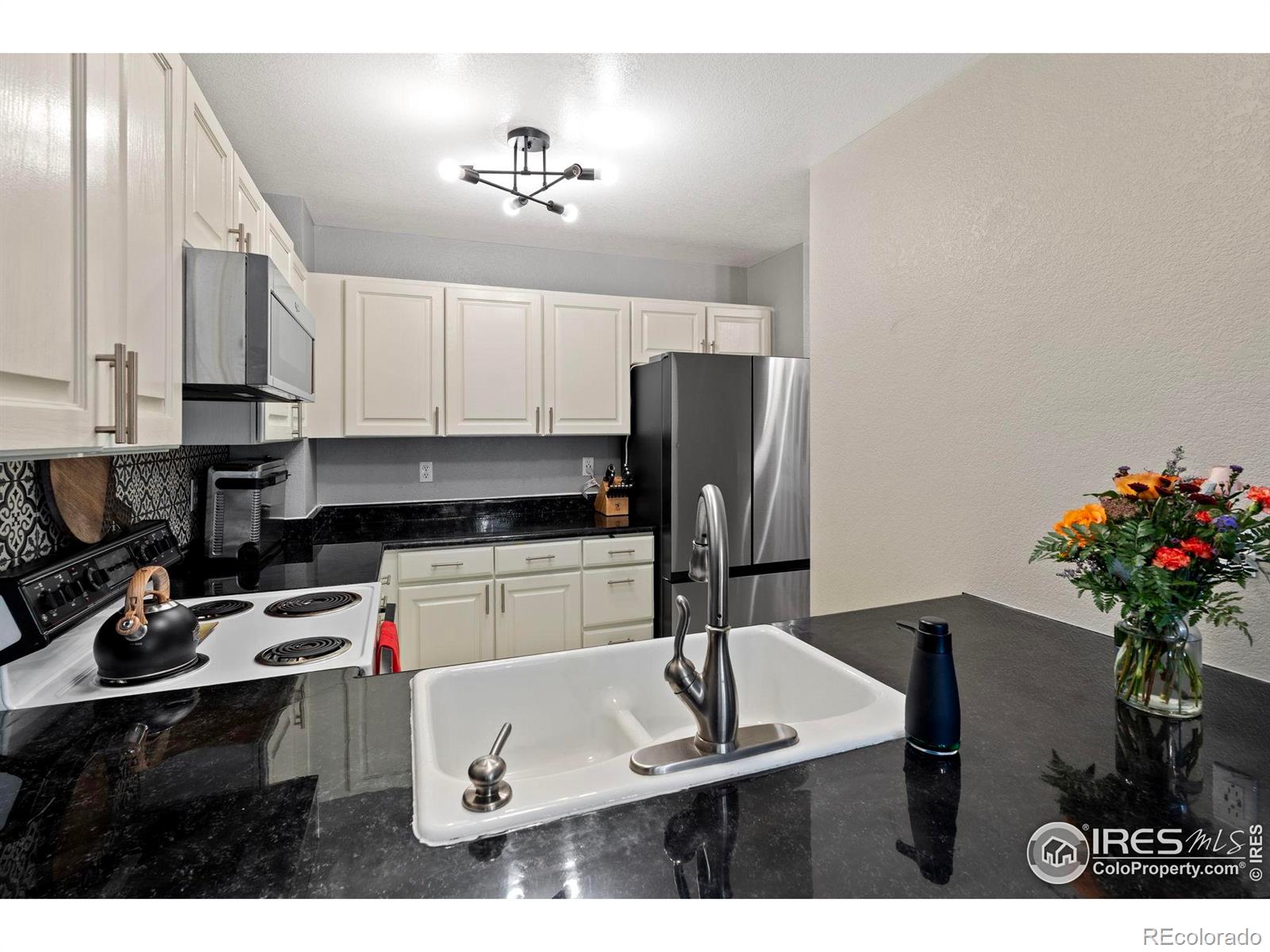 MLS Image #9 for 1080  artemis circle,lafayette, Colorado