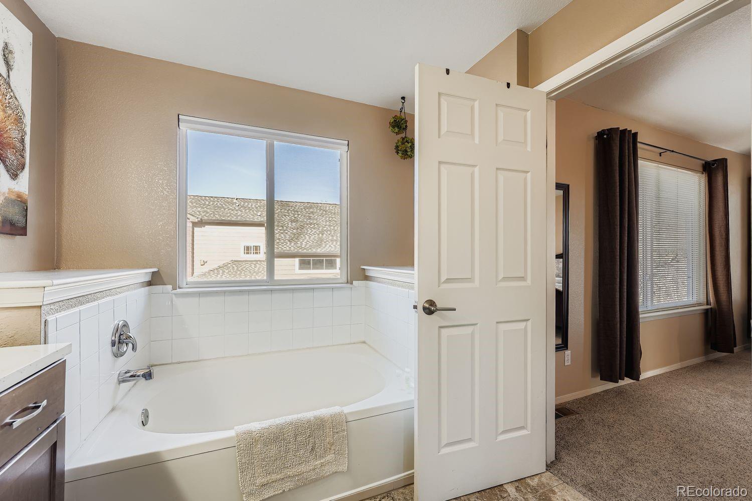 MLS Image #18 for 6452  silver mesa drive,highlands ranch, Colorado