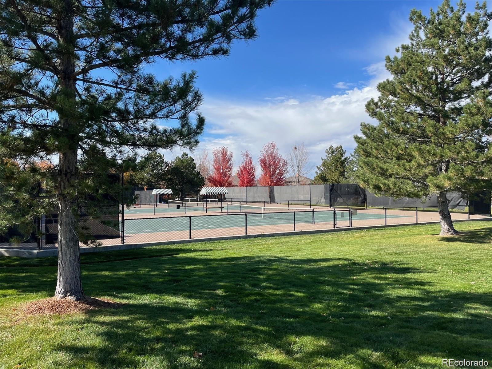 MLS Image #32 for 6452  silver mesa drive,highlands ranch, Colorado
