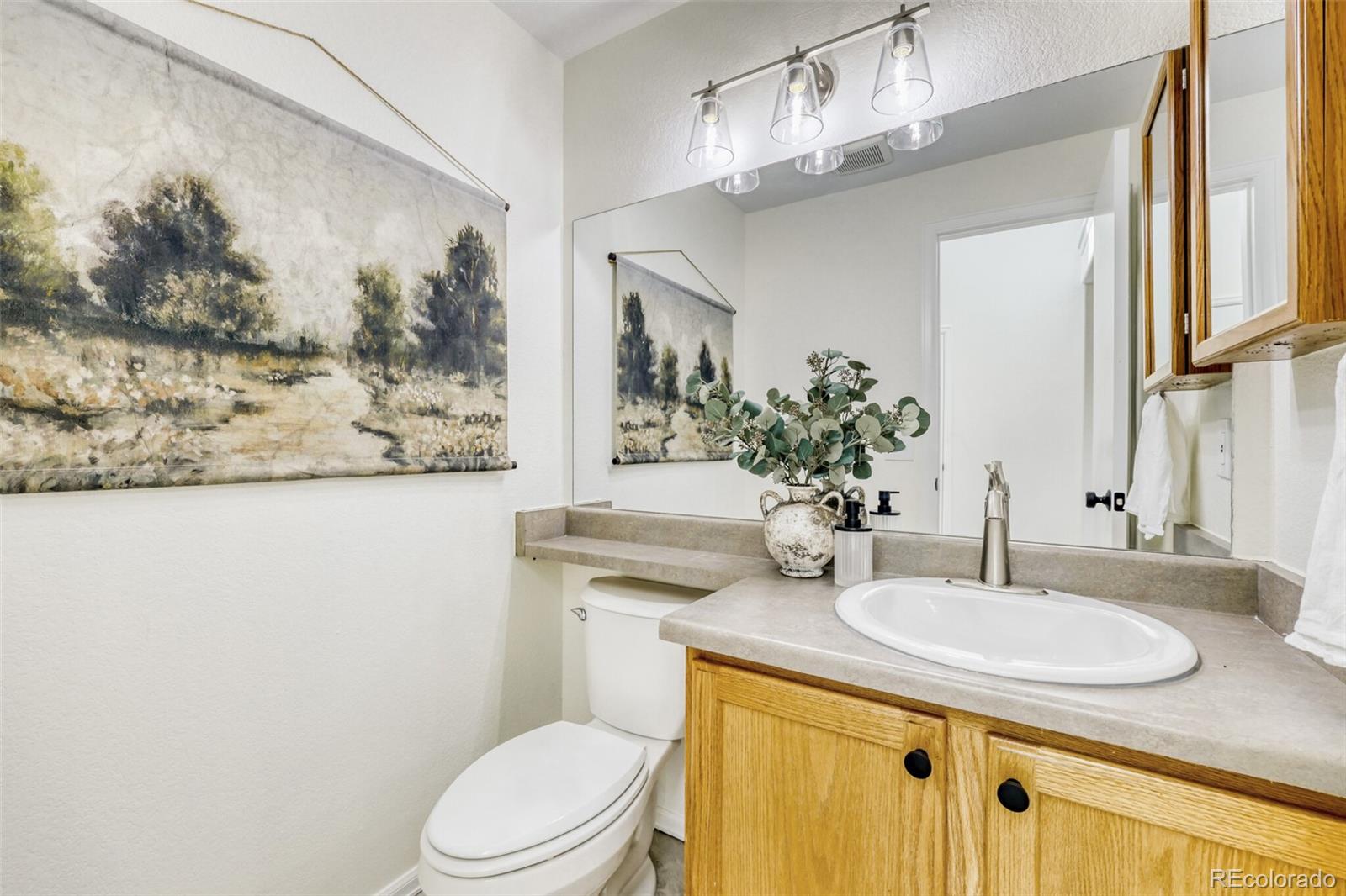 MLS Image #13 for 23085  blackwolf way,parker, Colorado