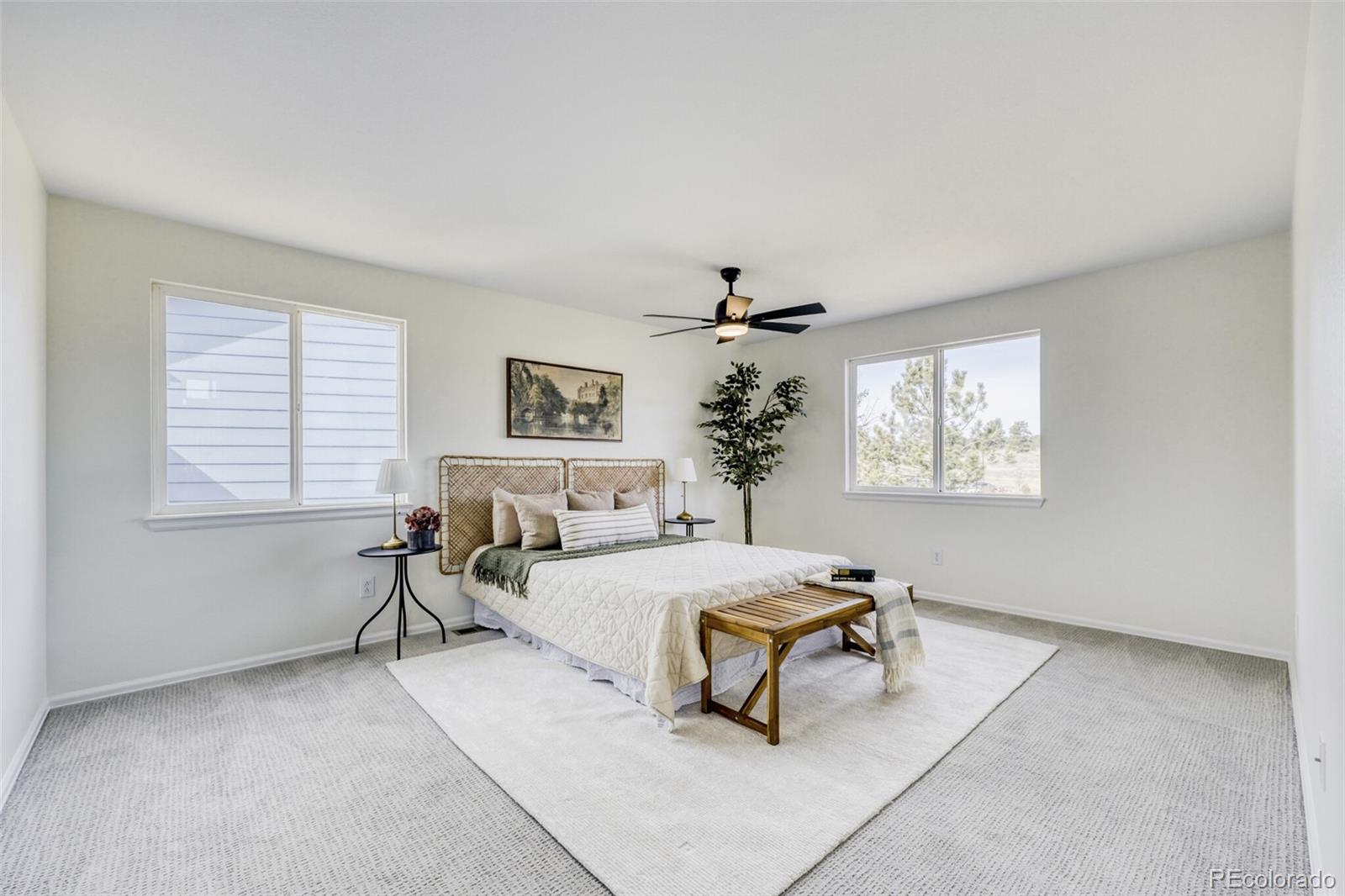 MLS Image #14 for 23085  blackwolf way,parker, Colorado