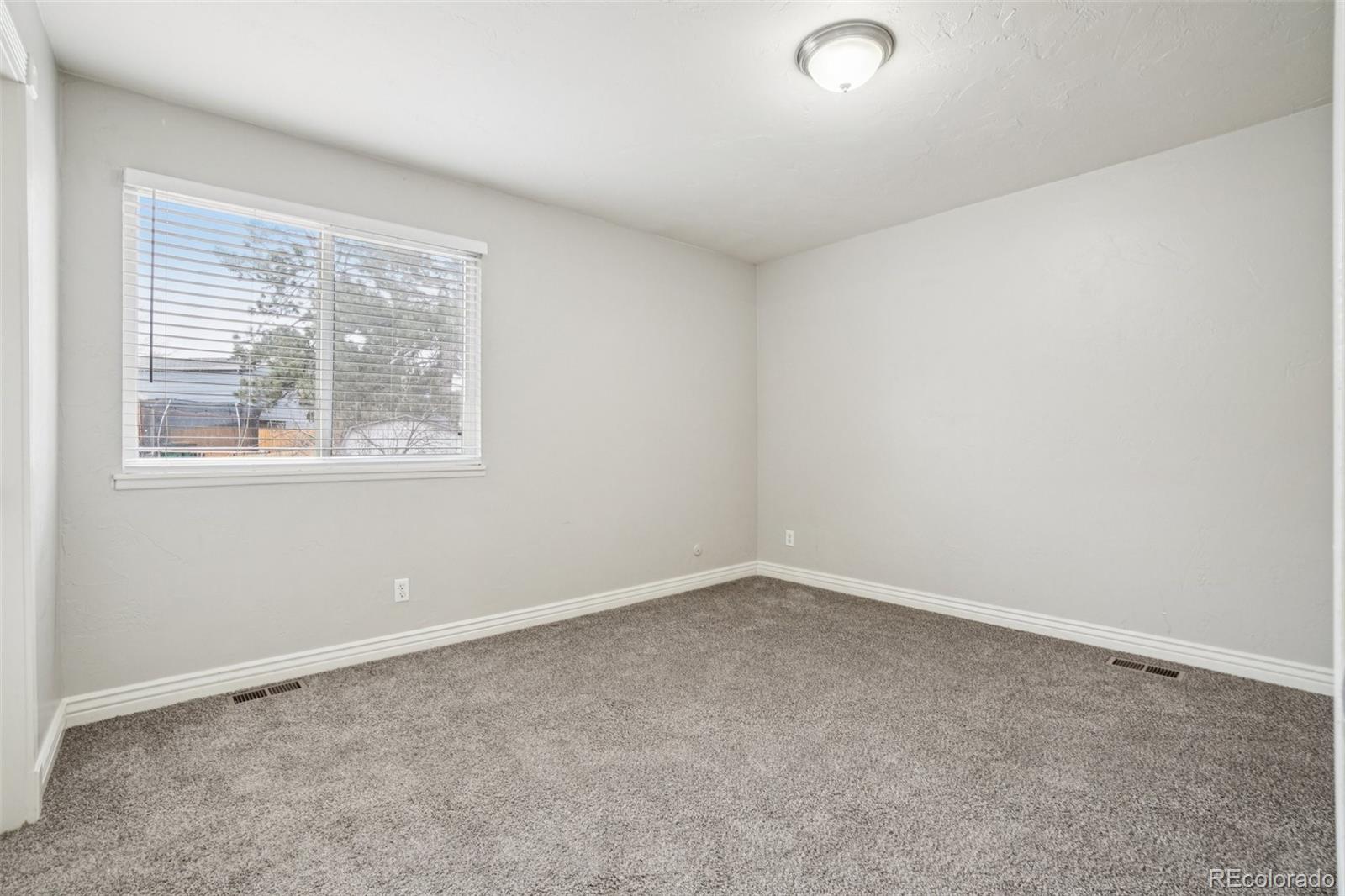 MLS Image #10 for 17154 e wagon trail parkway,aurora, Colorado