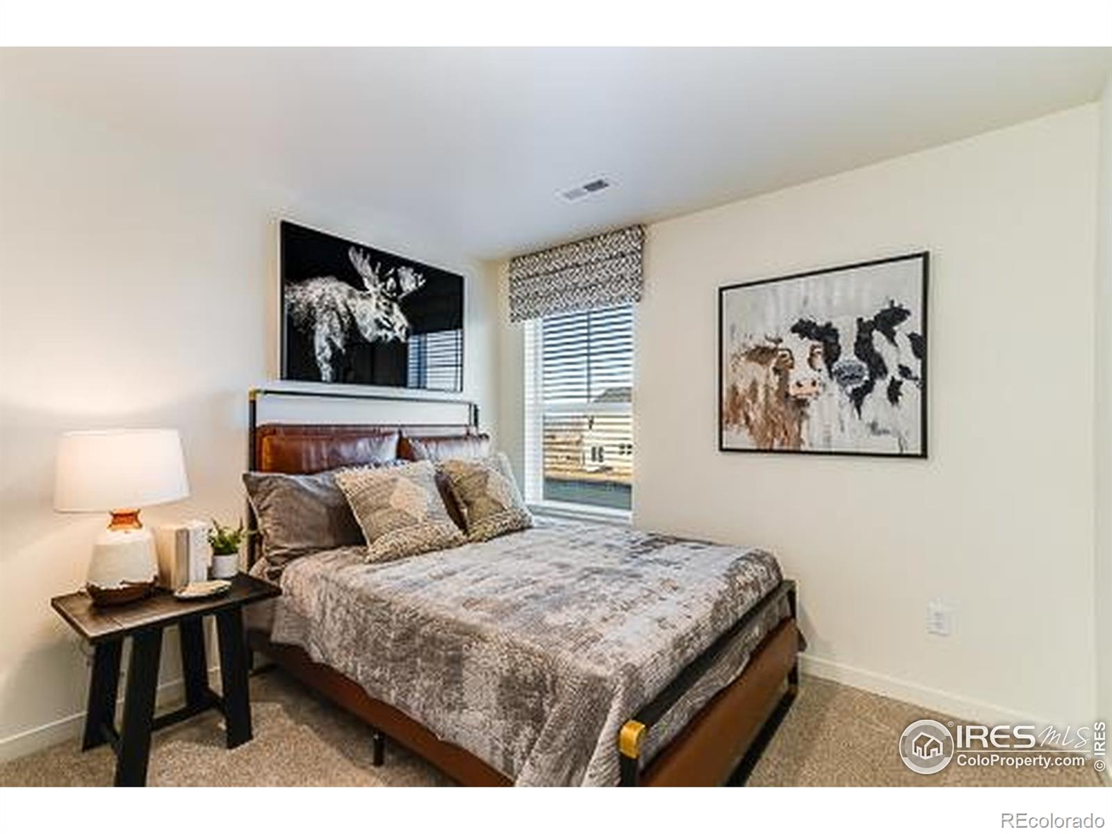 MLS Image #20 for 830  trumpet lane,windsor, Colorado
