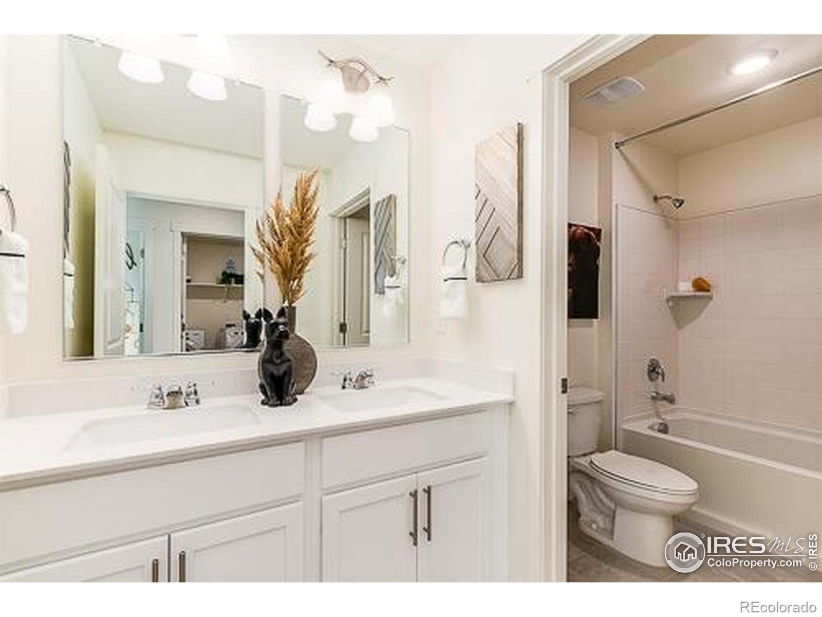 MLS Image #22 for 830  trumpet lane,windsor, Colorado