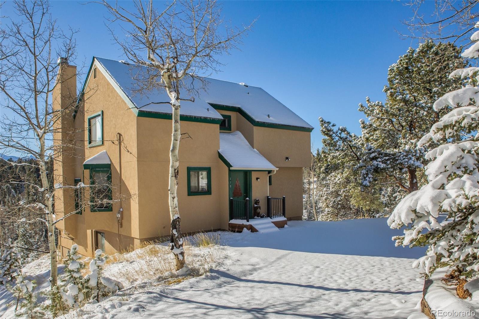MLS Image #1 for 170  ridge road,divide, Colorado