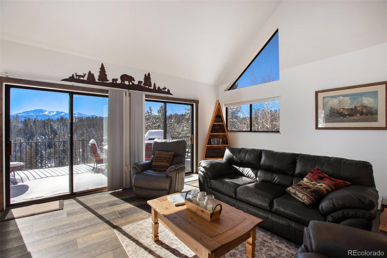 MLS Image #10 for 170  ridge road,divide, Colorado