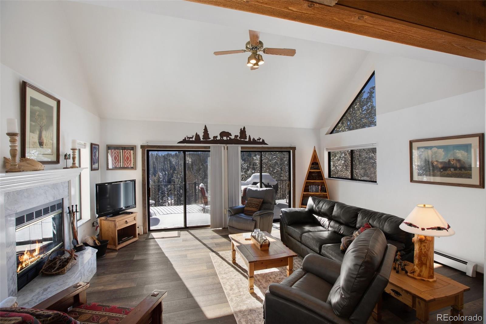 MLS Image #11 for 170  ridge road,divide, Colorado
