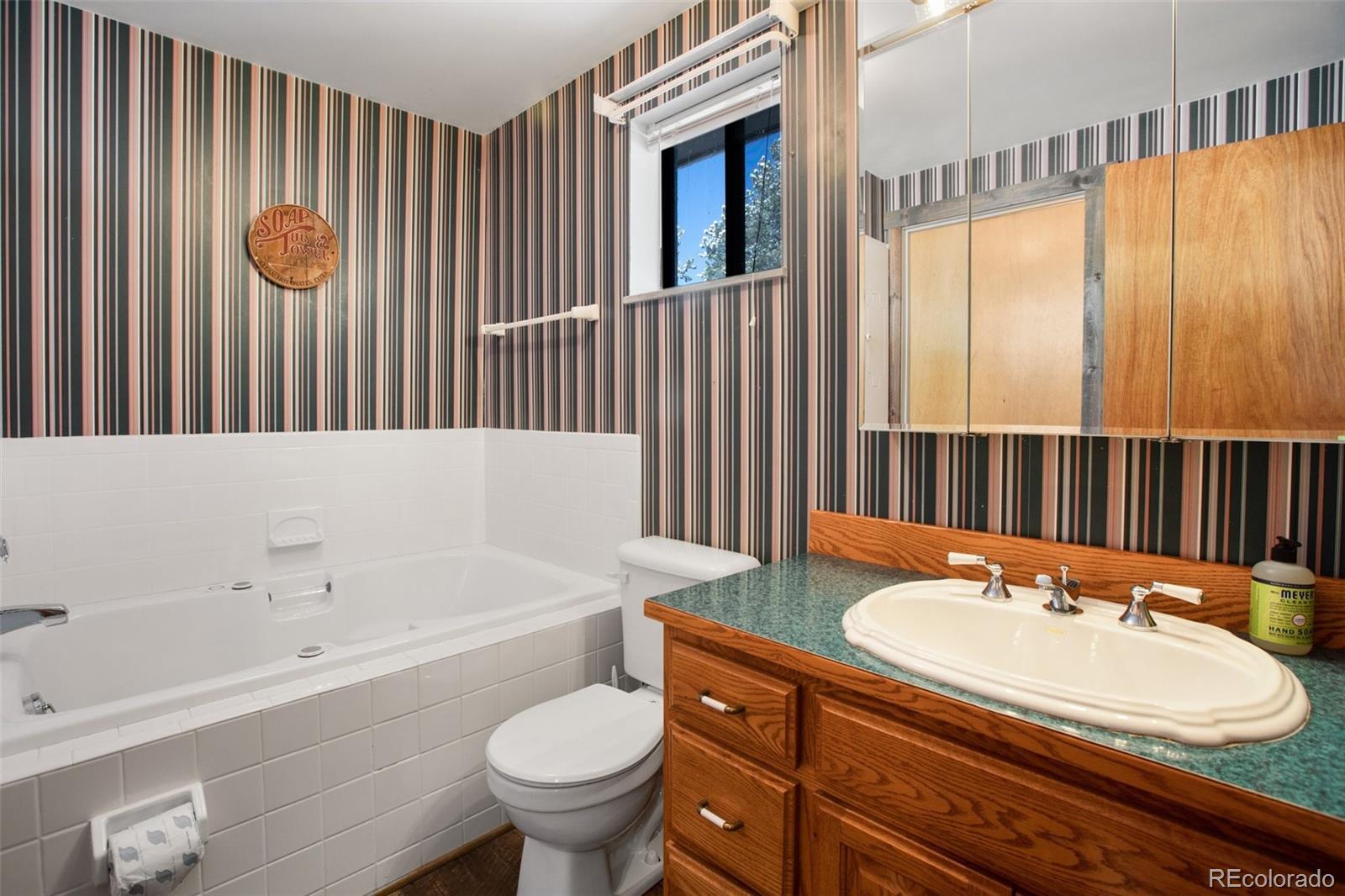 MLS Image #20 for 170  ridge road,divide, Colorado
