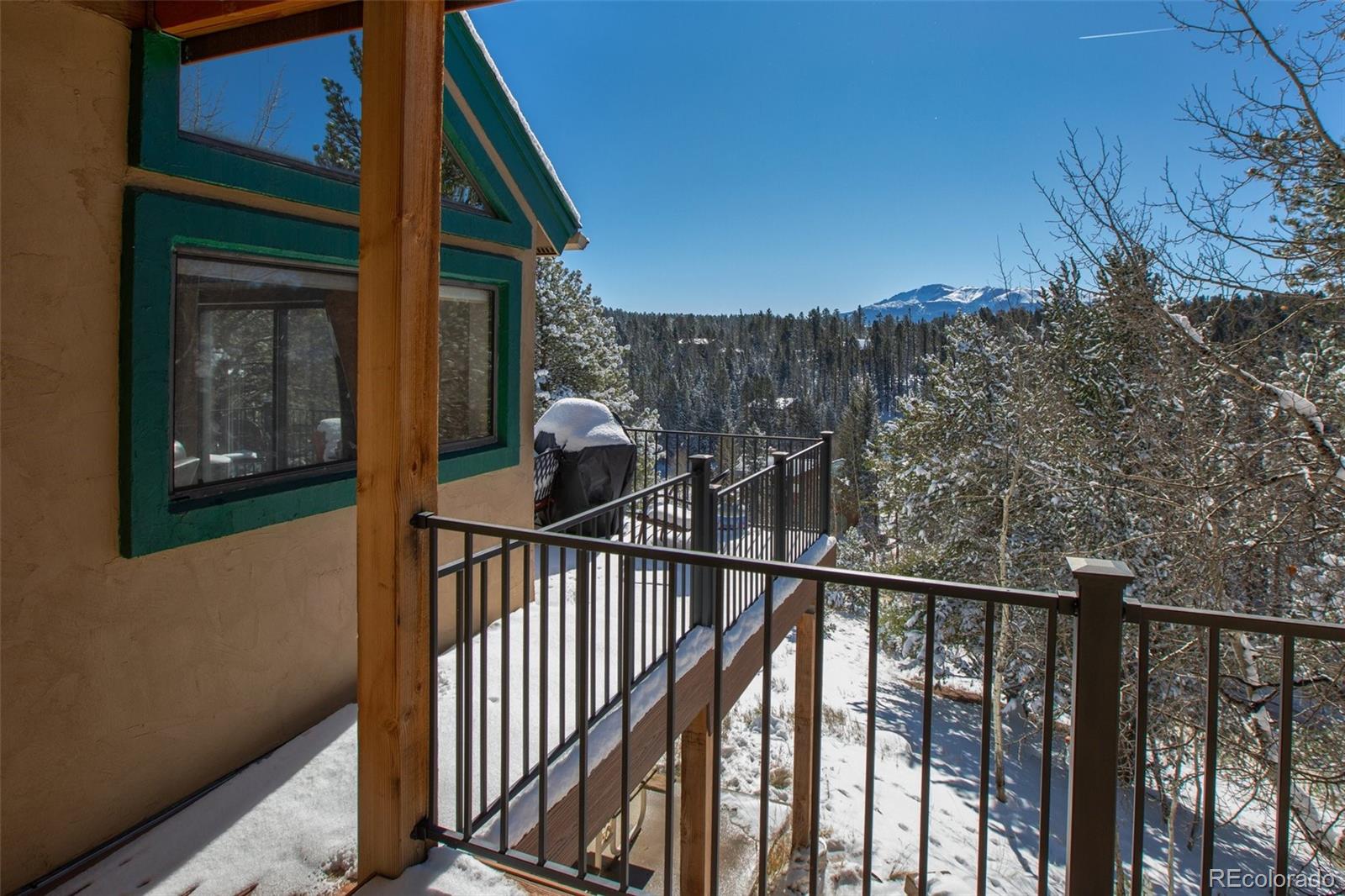 MLS Image #27 for 170  ridge road,divide, Colorado