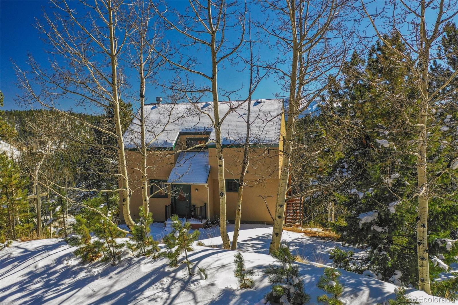 MLS Image #3 for 170  ridge road,divide, Colorado