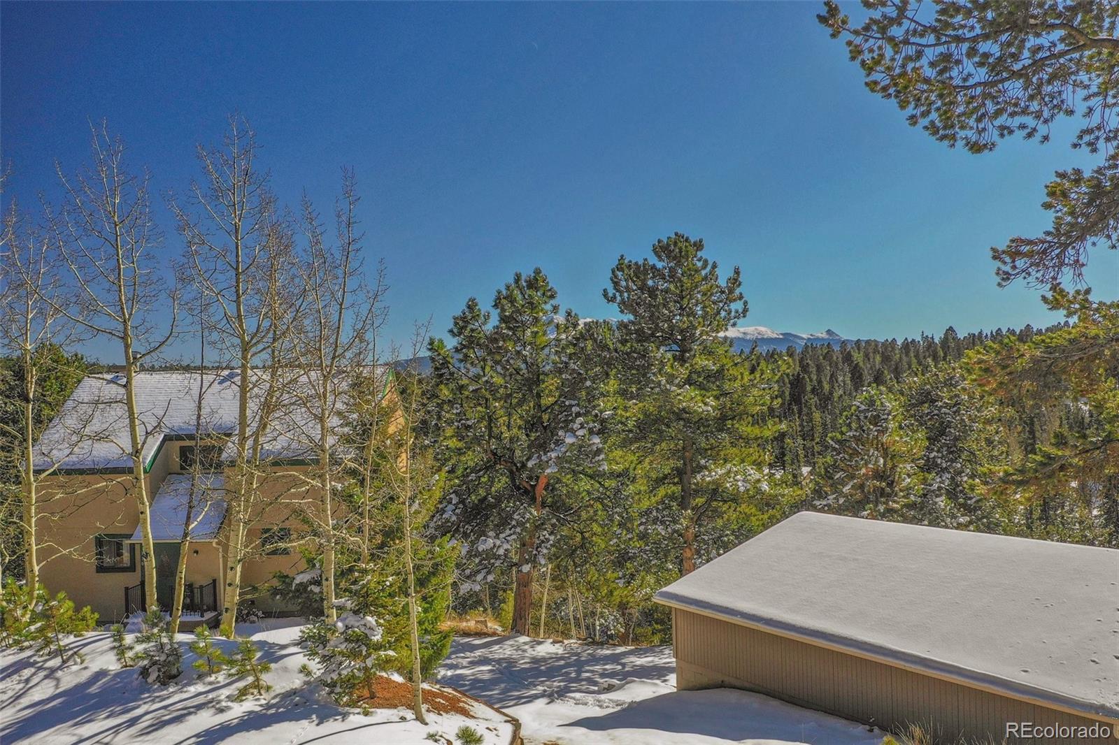 MLS Image #44 for 170  ridge road,divide, Colorado