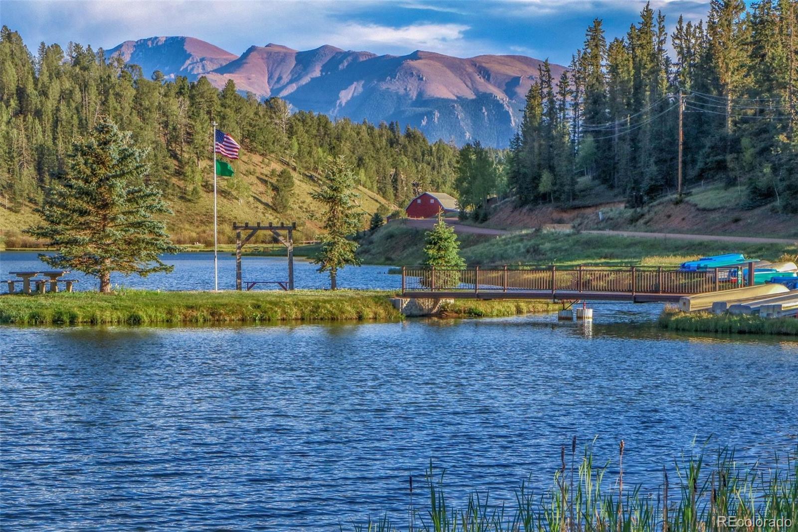 MLS Image #7 for 170  ridge road,divide, Colorado