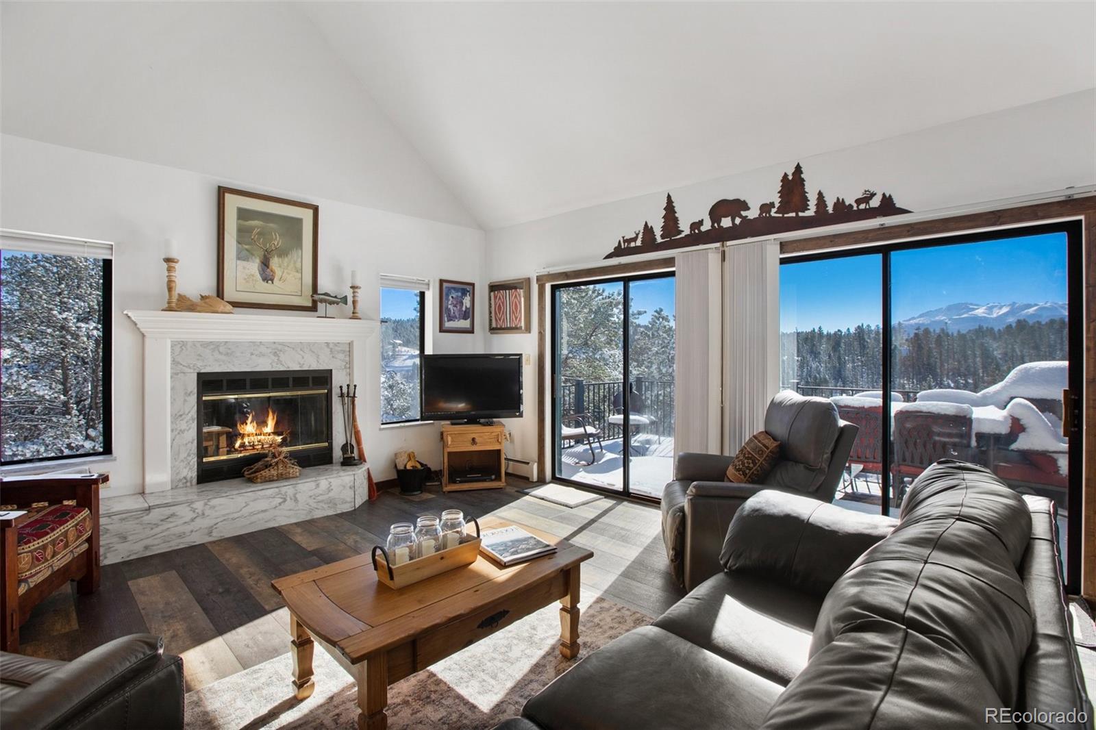 MLS Image #9 for 170  ridge road,divide, Colorado