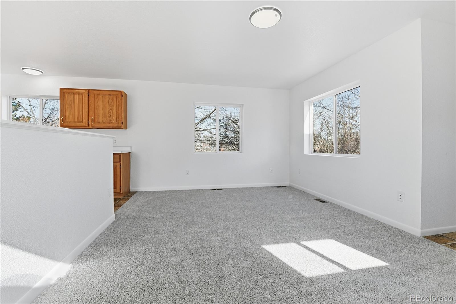 MLS Image #5 for 3099  elm street,denver, Colorado