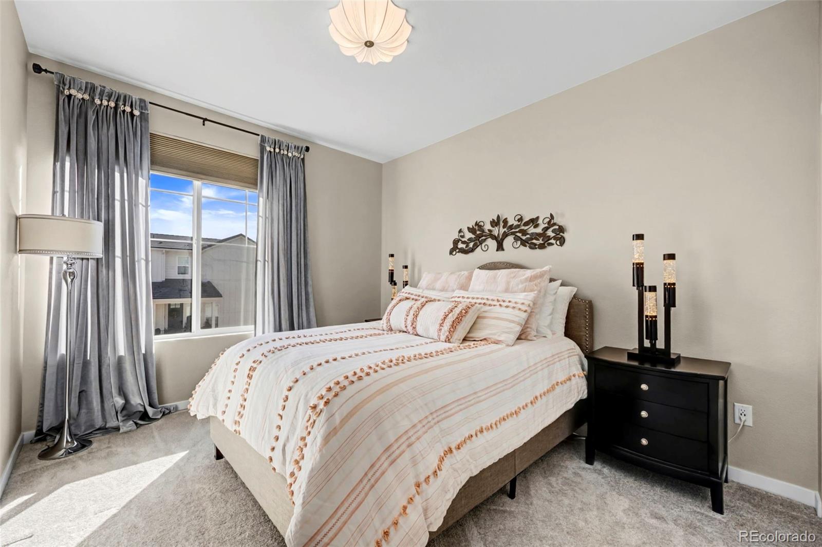 MLS Image #19 for 11057  shining star circle,parker, Colorado