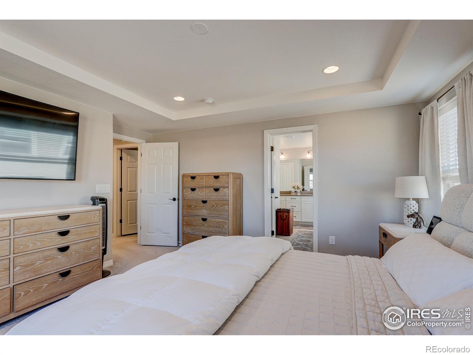 MLS Image #20 for 6410  verna court,timnath, Colorado