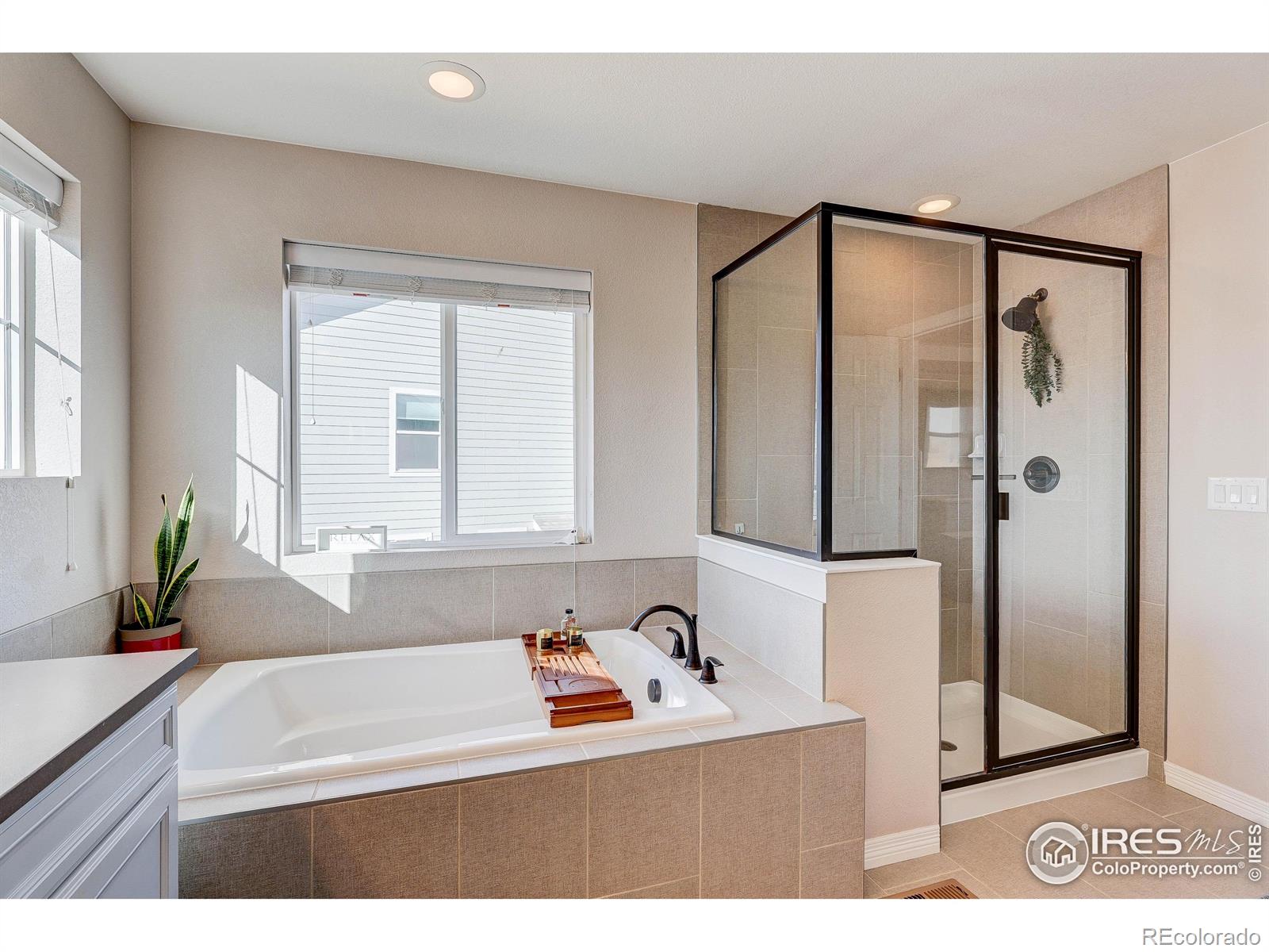 MLS Image #22 for 6410  verna court,timnath, Colorado
