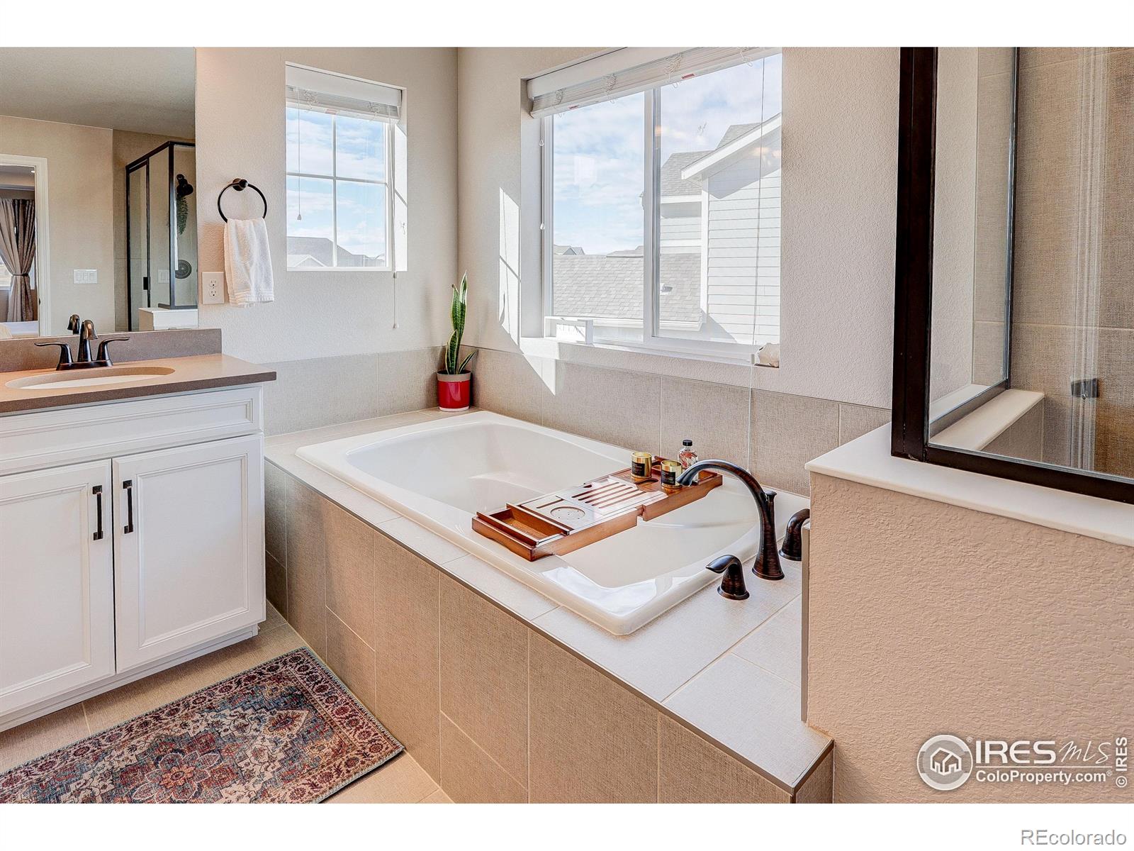 MLS Image #23 for 6410  verna court,timnath, Colorado