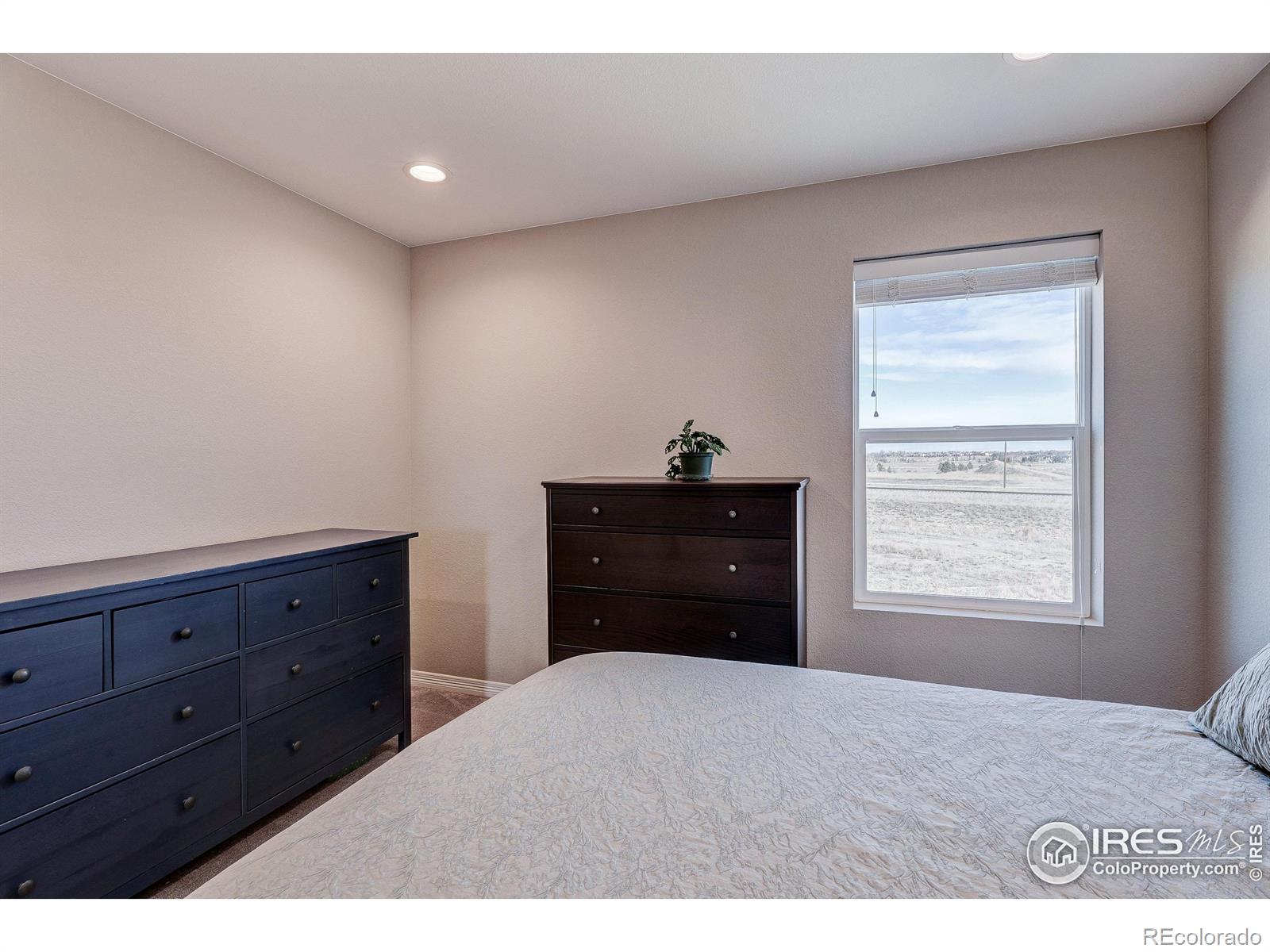 MLS Image #32 for 6410  verna court,timnath, Colorado